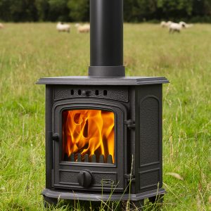 Atlantic Coral Nature