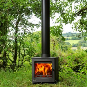 Atlantic Oyster 4 Nature