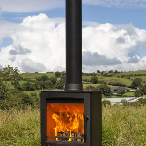 Atlantic Oyster 5 Nature