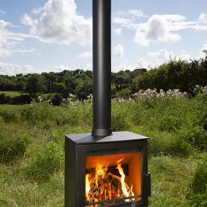 Atlantic Oyster 8 Nature